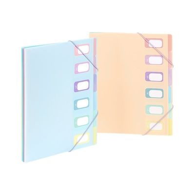 3135250991109-Viquel Rainbow Pastel - Trieur extensible 6 positions - disponible dans différentes couleurs-Avant-0