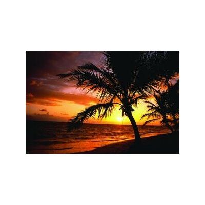 0400791363955-Fellowes nature - Tapis de souris - Le temps des palmiers-Image du produit-0