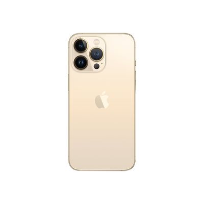 194252717509-Apple iPhone 13 Pro - Smartphone - 5G - 256Go - or-Arrière-1