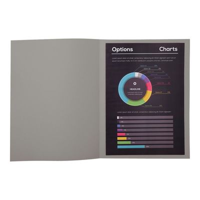 3130630217107-Exacompta Rock"s - 10 Chemises - 210 gr - pour 200 feuilles - gris-Avant-0