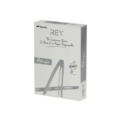 3368220138604-Rey Adagio - Papier couleur - A4 (210 x 297 mm) - 160 g/m² - Ramette de 250 feuilles - gris-Angle droit-0