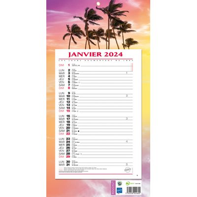 3592930026955-Bouchut 409 Exotique - Calendrier de bloc mensuel à feuillets - 19 x 36 cm--0
