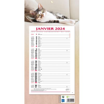 3592930026948-Bouchut 409 Animaux - Calendrier de bloc mensuel à feuillets - 19 x 36 cm--0