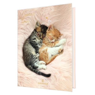 3108720615515-Agenda Chaton 1 jour par page - 12,5 x 17,5 cm - 2 décors au choix - Oberthur--0