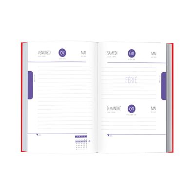 3108720615133-Agenda Gomme Illustré - 1 jour par page - 12,5 x 17,5 cm - 2 décors au choix - Oberthur--3