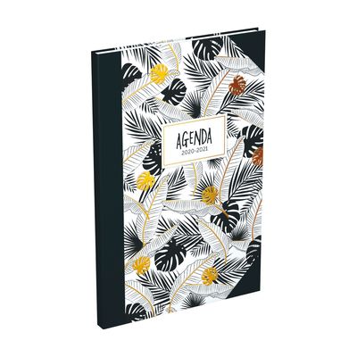 3147280101380-Agenda Lecas Millenium - 1 Semaine sur 2 pages - 16 x 24 cm - différents modèles disponibles--6