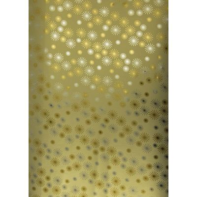 3329682128572-Clairefontaine Premium Max & me - Papier cadeau - 70 cm x 2 m - différents modèles disponibles--3