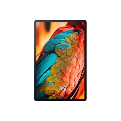 0195713207379-Lenovo Tab P11 Pro ZA8M - tablette 11,5" - Android 10 - 128 Go - gris-Avant-0