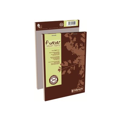 3210330172552-Calligraphe FOREVER - Bloc notes - A5 - 200 pages - papier blanc - quadrillé - 5x5-Multi-angle-2