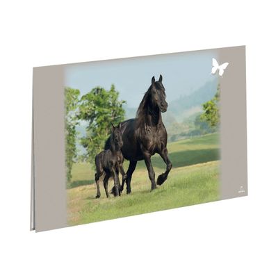 3108720414316-Oberthur Cheval - Sous-main double-Angle gauche-0
