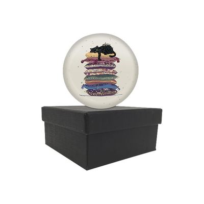 3700572715827-Kiub Bug Art - Presse Papier - Chat sur coussin-Angle droit-0