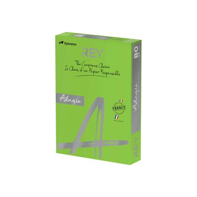 3368220089708-Rey Adagio - Papier couleur - A4 (210 x 297 mm) - 160 g/m² - Ramette de 250 feuilles - vert-Angle droit-0
