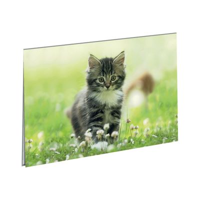 3108720414514-Oberthur Chaton - Sous-main double-Angle gauche-0
