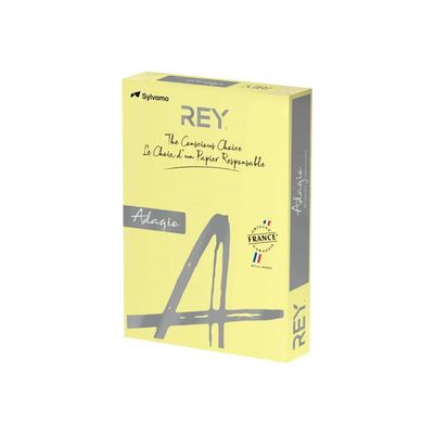 3141728711445-Rey Adagio - Papier couleur - A3 (297 x 420 mm) - 120 g/m² - Ramette de 250 feuilles - cana-Angle droit-0