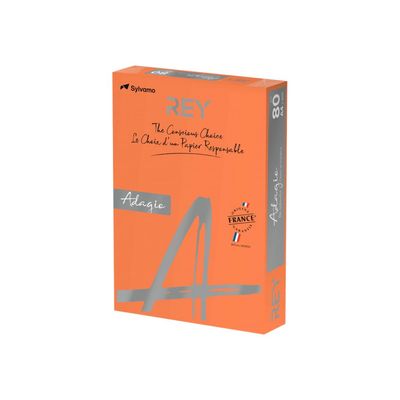3368220089678-Rey Adagio - Papier couleur - A4 (210 x 297 mm) - 160 g/m² - Ramette de 250 feuilles - oran-Angle droit-0
