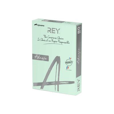3368220089616-Rey Adagio - Papier couleur - A4 (210 x 297 mm) - 160 g/m² - Ramette de 250 feuilles - vert-Angle droit-0