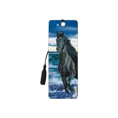 0634438018308-Catwalk Artgame 3D - Marque pages étalon noir-Avant-0