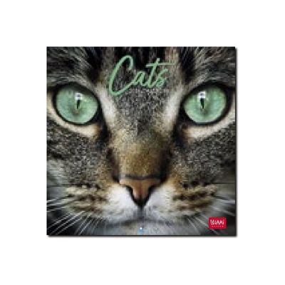 8051128759839-Legami - Calendrier mensuel 2024 - 18 x 18 cm - chats -Avant-0