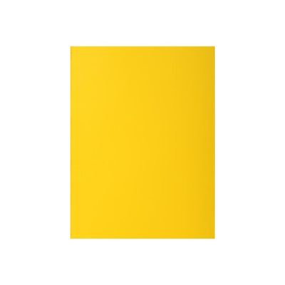 3288582171111-Exacompta Rock"s - 10 Chemises - 210 gr - jaune-Avant-2