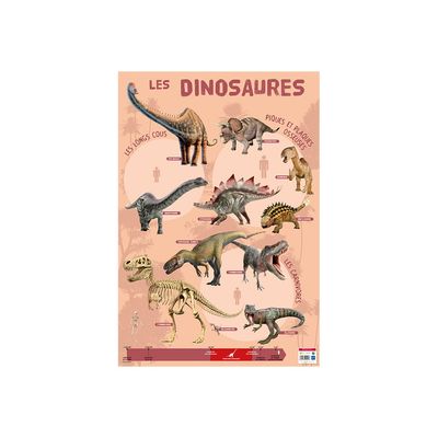 3592930009903-Bouchut - Poster Les Dinosaures - 52 x 76 cm-Avant-0
