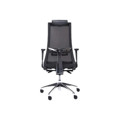3760185029223-Fauteuil de bureau ergonomique TENEESEE - accoudoirs réglables - appui-tête amovible - noir-Arrière-2