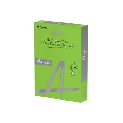 3368220089586-Rey Adagio - Papier couleur - A3 (297 x 420 mm) - 80 g/m² - Ramette de 500 feuilles - vert -Angle droit-0