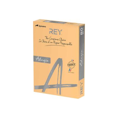 3368220125642-Rey Adagio - Papier couleur - A4 (210 x 297 mm) - 80 g/m² - Ramette de 500 feuilles - manda-Angle droit-0