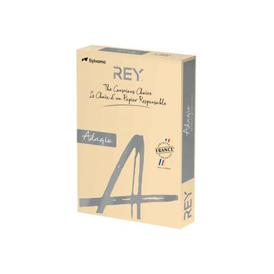3141728711094-Rey Adagio - Papier couleur - A3 (297 x 420 mm) - 160 g/m² - Ramette de 250 feuilles - sabl-Angle droit-0