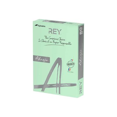 3368220102964-Rey Adagio - Papier couleur - A4 (210 x 297 mm) - 80 g/m² - Ramette de 500 feuilles - vert -Angle droit-0