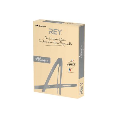 3141728710912-Rey Adagio - Papier couleur - A4 (210 x 297 mm) - 160 g/m² - Ramette de 250 feuilles - sabl-Angle droit-0