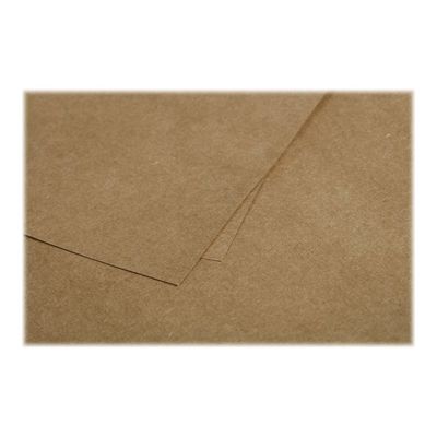 3329680291353-Pollen - 50 Feuilles papier couleur - A4 (21 x 29,7 cm) - 135 g/m² - kraft-Gros plan-1