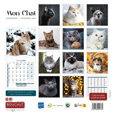 3592930027020-Calendrier illustré BOUCHUT 30 x 30 cm MON CHAT 70 %--2
