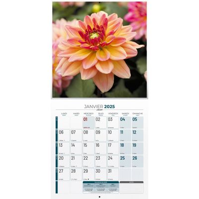 3592930027068-Calendrier illustré BOUCHUT 30 x 30 cm FLEURS 70 %--1