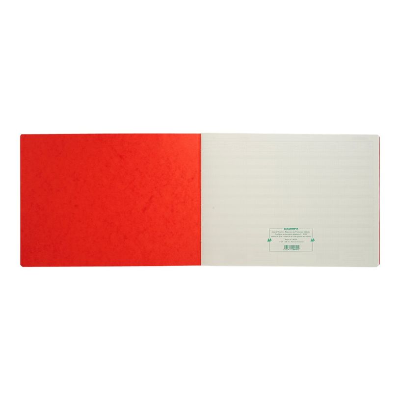 3130632096205-Exacompta - Registre des recettes/dépenses pour professions libérales - 27 x 38 cm - 80 pages-P_713_3-2