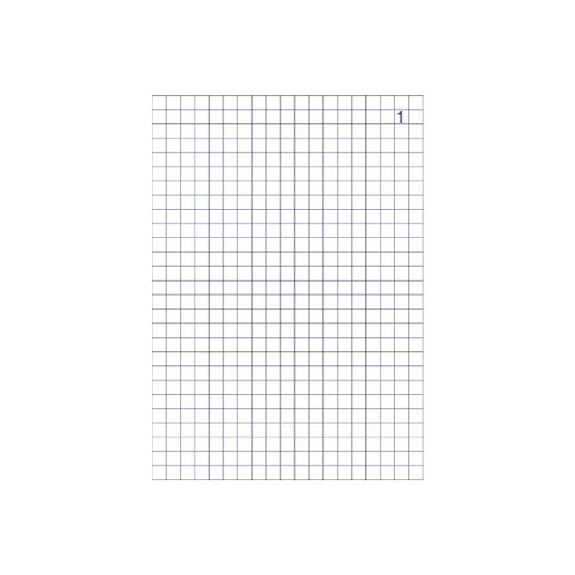 3416790021380-ELVE - Manifold quadrillé 5x5 - 50 tripli - A4-P_2138_1-1