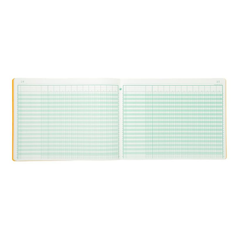 3130632061302-Exacompta - Piqûre comptable - 13 colonnes par page - 25 x 32 cm - 80 pages-P_6130_2-1