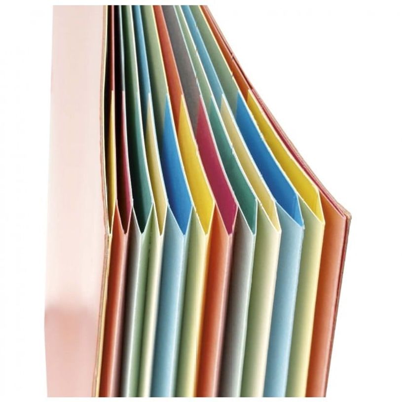 0400000223070-Extendos - Trieur 7 positions - vert-P_22307_1-0
