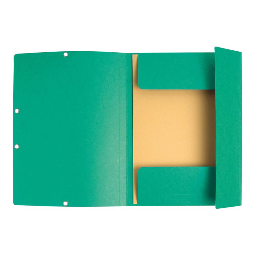 3130632553036-Exacompta Nature Future - 10 Chemises à 3 rabats - A4 - pour 250 feuilles - vert-P_1855303_2-1