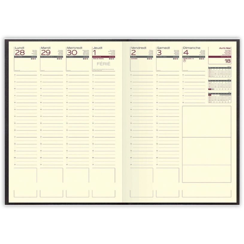 3147281211316-Agenda Lecas Lézard - 1 semaine sur 2 pages - 16 x 24 cm - disponible dans différentes couleurs--1
