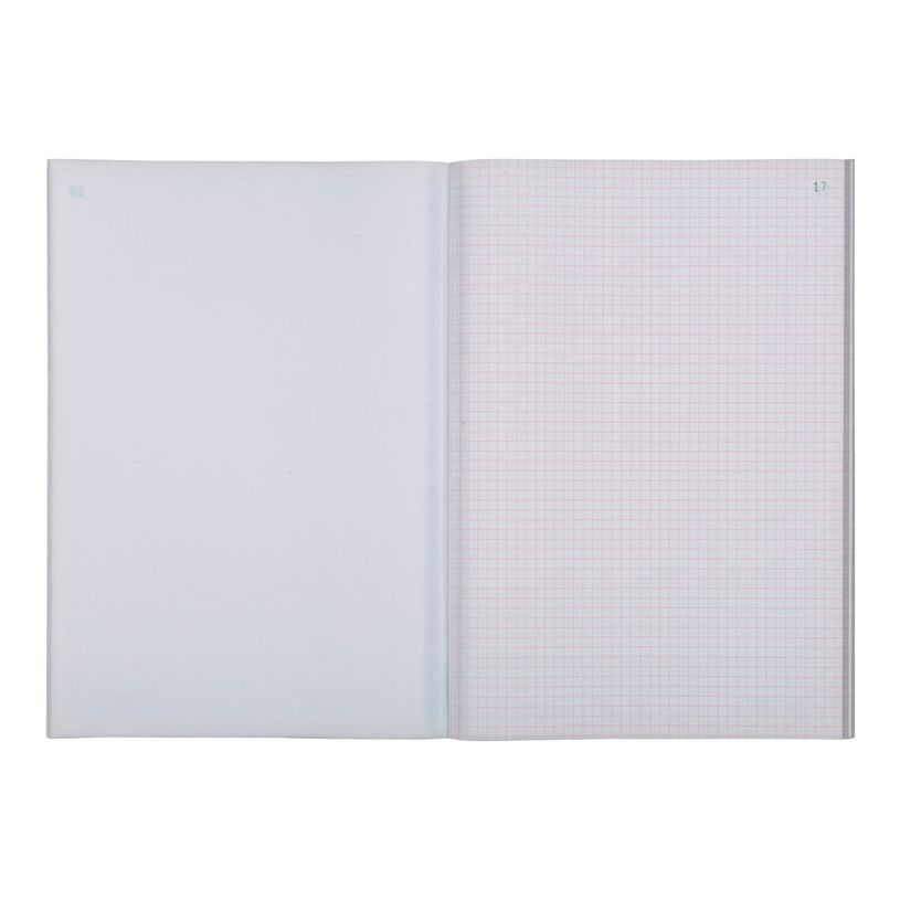 3130630033011-Exacompta - Manifold quadrillé 5x5 - 50 tripli - A4-P_283301_3-2