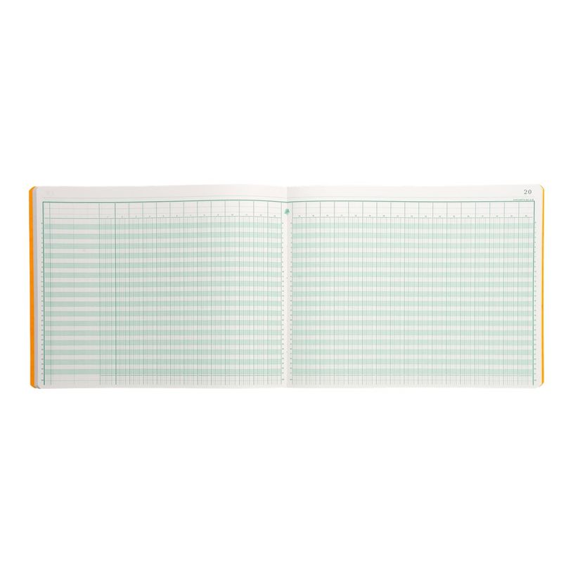3130632063009-Exacompta - Piqûre comptable - 30 colonnes sur 2 pages - 25 x 32 cm - 80 pages-P_286300_2-1