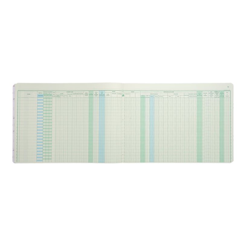 3130632066901-Exacompta - Livre de paye - 60 pages - 27 x 36 cm-P_286690_5-4