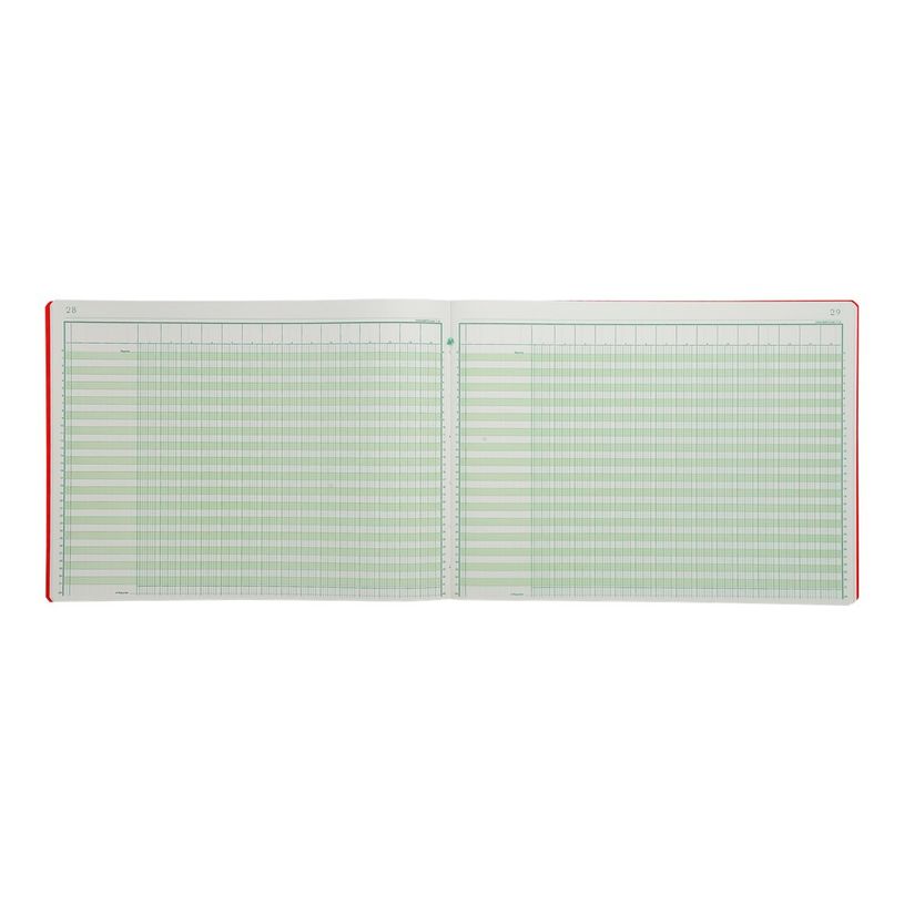 3130632081508-Exacompta - Piqûre comptable - 15 colonnes par page - 28 x 38 cm - 80 pages-P_288150_4-3