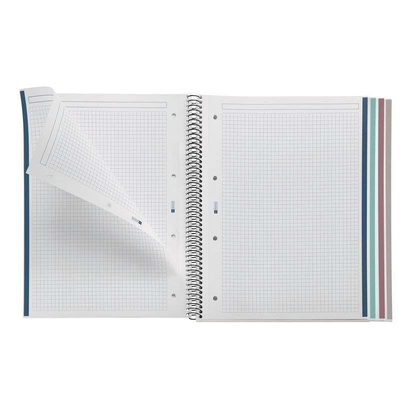 8422593060285-Notebook ECO DESIGN, KRAFT, carton recyclé, A4, quadrillage 5x5 mm, 120 feuilles de 4 couleurs, Miquel--3