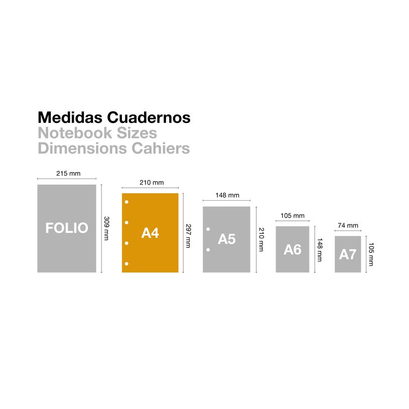 8422593060285-Notebook ECO DESIGN, KRAFT, carton recyclé, A4, quadrillage 5x5 mm, 120 feuilles de 4 couleurs, Miquel--6