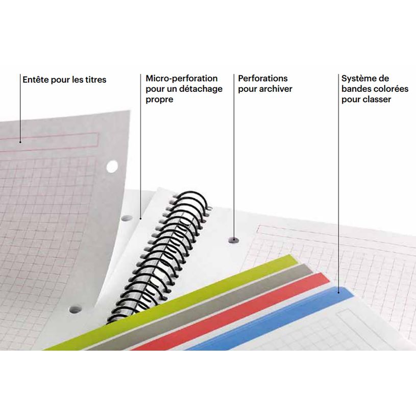 8422593060308-Notebook Miquelrius ECO DESIGN KRAFT, carton recyclé,  A5 quadrillage 5x5 mm,  120 feuilles de 4 coule--7