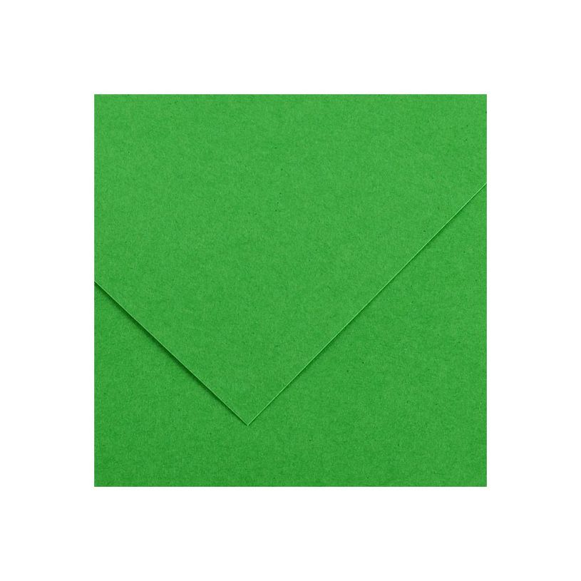 3148950402387-Canson Iris Vivaldi - Papier - 500 x 650 mm - vert vif - 185 g/m²-P_300043361_1-0