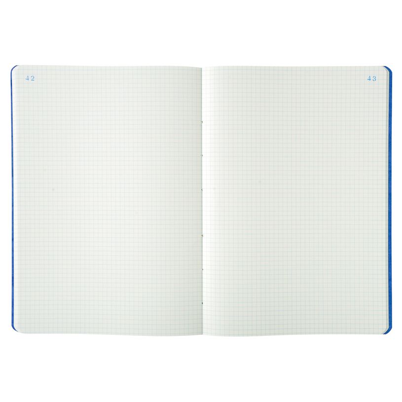 3130632004101-Exacompta - Piqûre 5x5 folioté - 29,7 x 21 cm - 80 pages-P_400005420_6-5