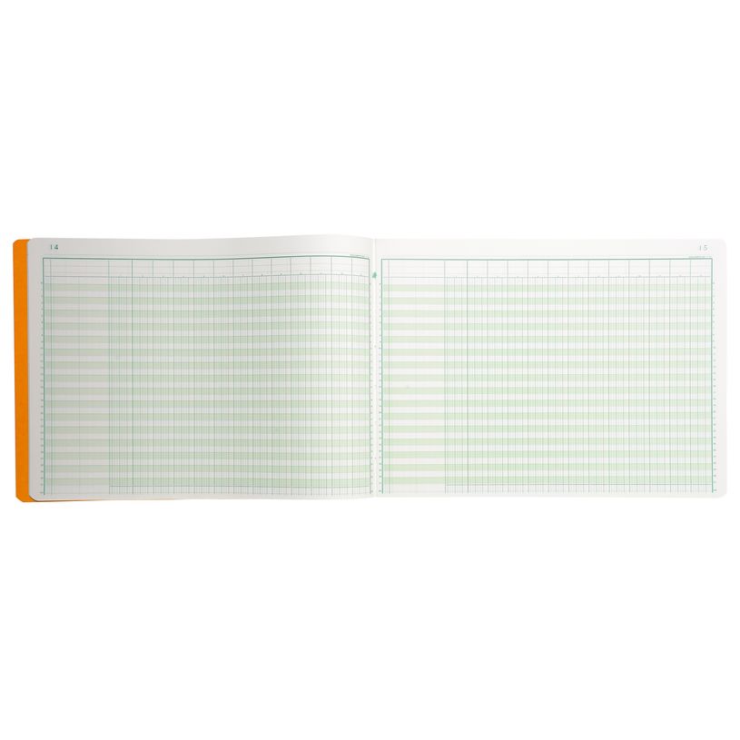 3130632081300-Exacompta - Piqûre comptable - 13 colonnes par page - 28 x 38 cm - 80 pages-P_400005494_7-6