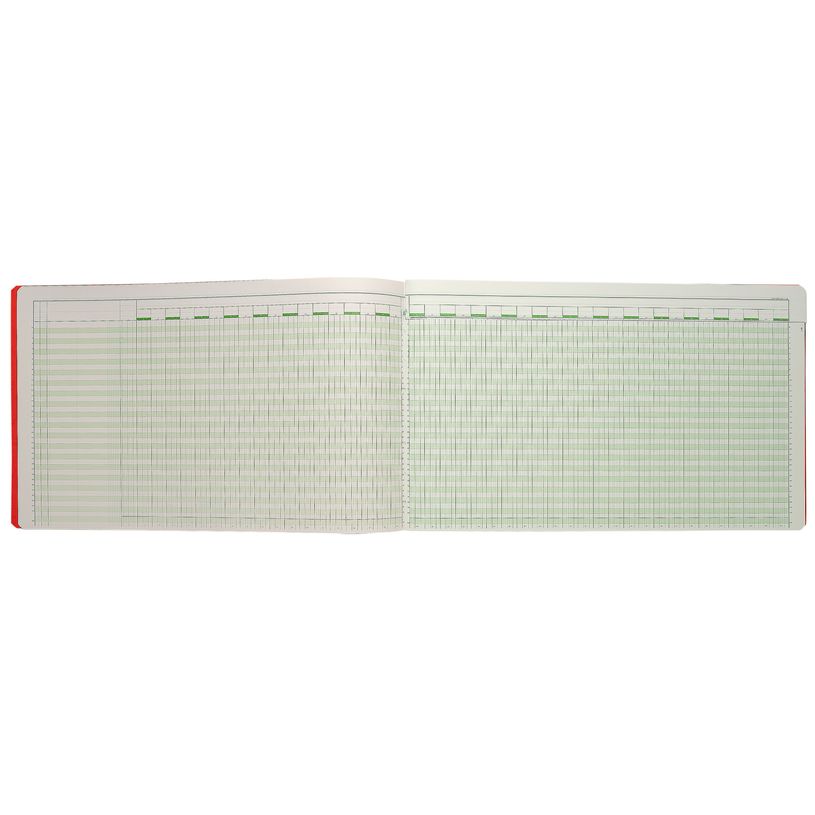 3130630084402-Exacompta - Piqûre comptable - 44 colonnes sur 2 pages - 32 x 55 cm - 80 pages-P_400005497_3-2